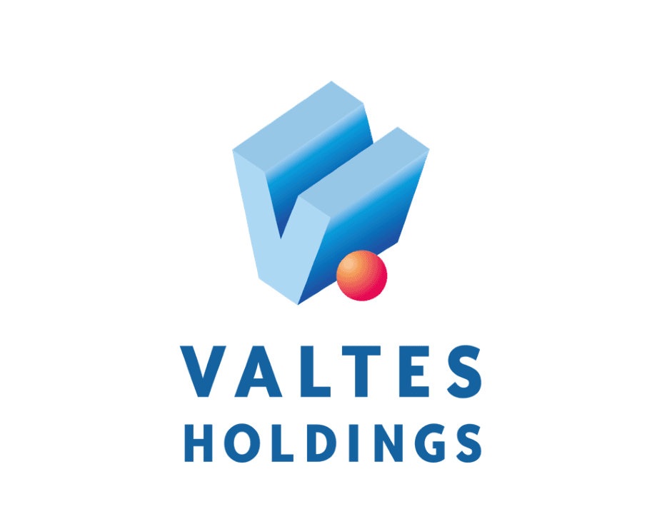 バルテス・ホールディングス株式会社